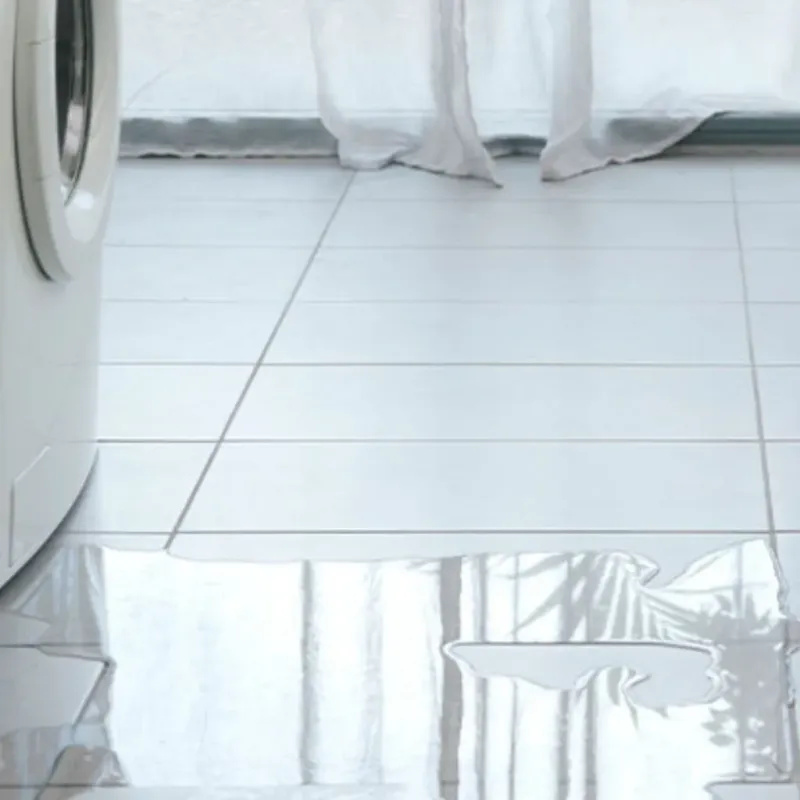 Appliance Leak Cleanup in Decatur County, IN