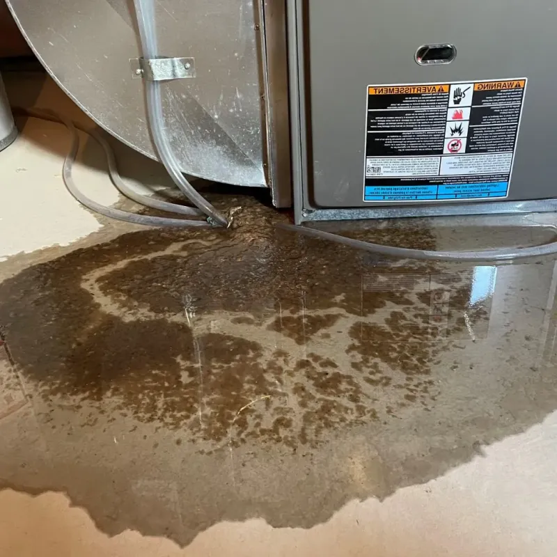 Pipe Burst and Leak Restoration in Decatur County, IN