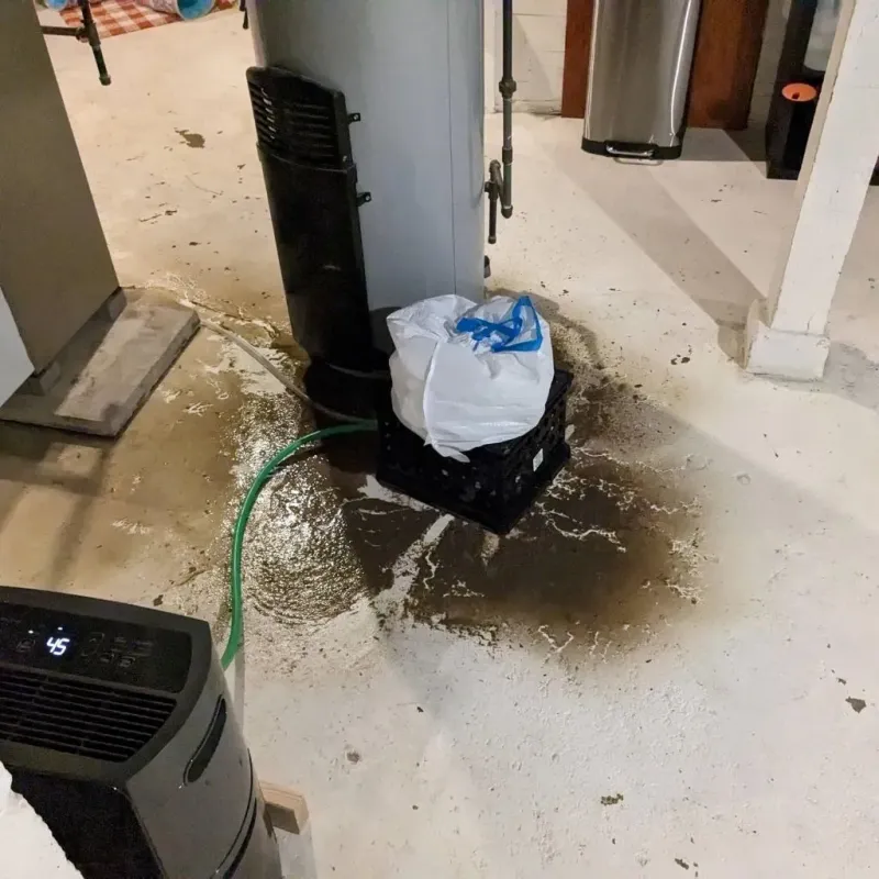 Sewage Backup Cleanup Service in Decatur County, IN